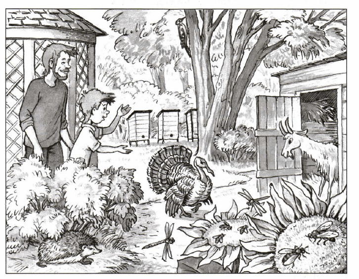 Задание рисунок 1