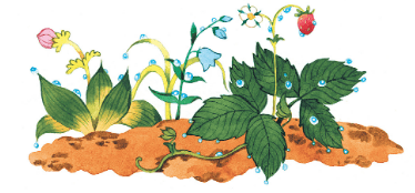 Задание рисунок 1