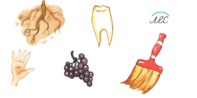 Задание рисунок 1