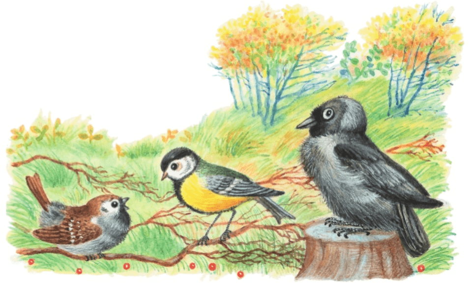 Задание рисунок 2