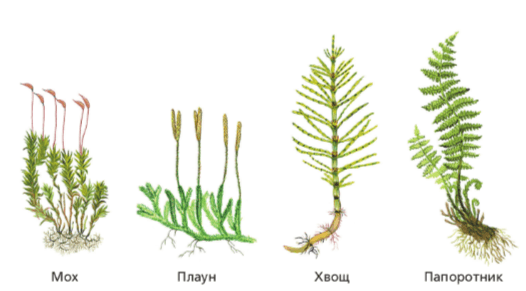 Решение рисунок 3